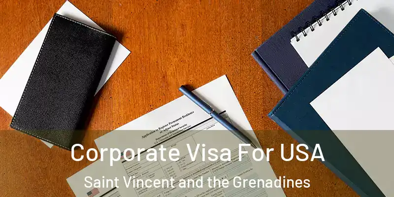  Corporate Visa For USA Saint Vincent and the Grenadines